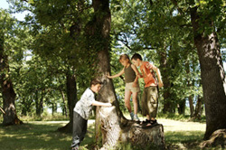 Promenade en famille dans le Tarn, vente de biens immobilier dans le Tarn AG3